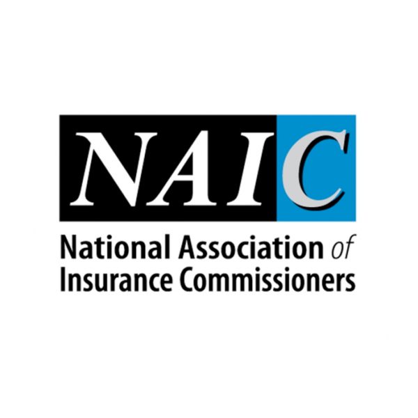 What is the NAIC?